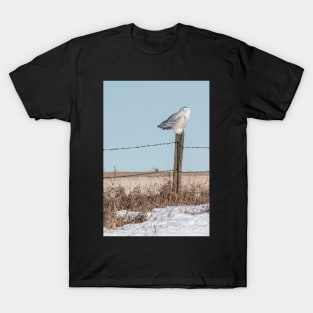 I've Got My Eyes on You T-Shirt